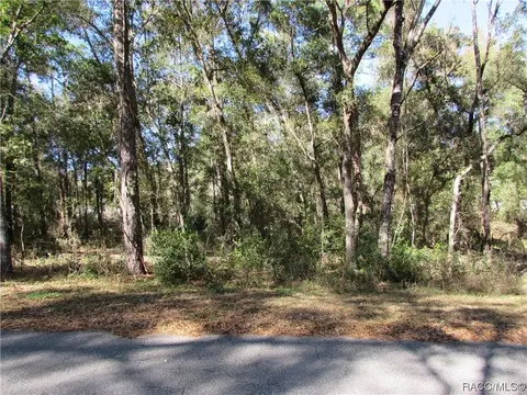 6733 E Hampton Ln, Inverness, FL 34452 photo 3