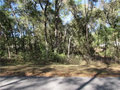 6733 E Hampton Ln, Inverness, FL 34452 photo 5