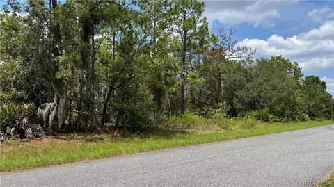 7040 N Glenridge Cir, Citrus Springs, FL 34434