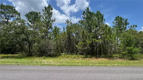 3111 W Misty Pl, Citrus Springs, FL 34433