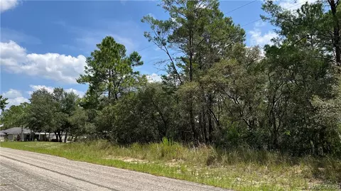 8361 N Tradewind Dr, Citrus Springs, FL 34433