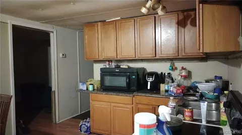 3410 E Buckskin Ln, Hernando, FL 34442 photo 4