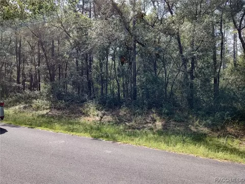 308 E Bimini Dr, Citrus Springs, FL 34434