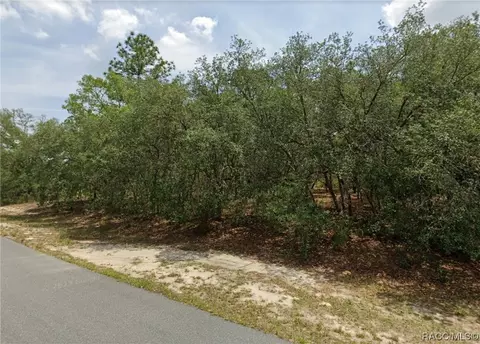 11357 N Condor Dr, Citrus Springs, FL 34433