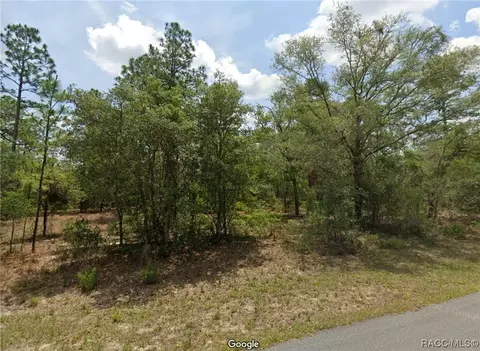 11371 N Condor Dr, Citrus Springs, FL 34433