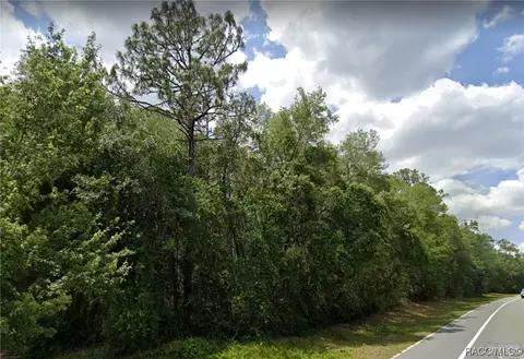 10708 N Citrus Springs Blvd, Citrus Springs, FL 34434
