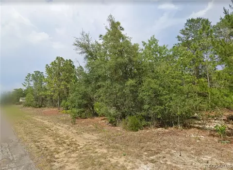 2987 W Sheila Dr, Citrus Springs, FL 34433