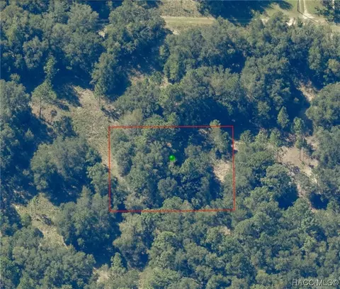 1911 Victor St, Inverness, FL 34453