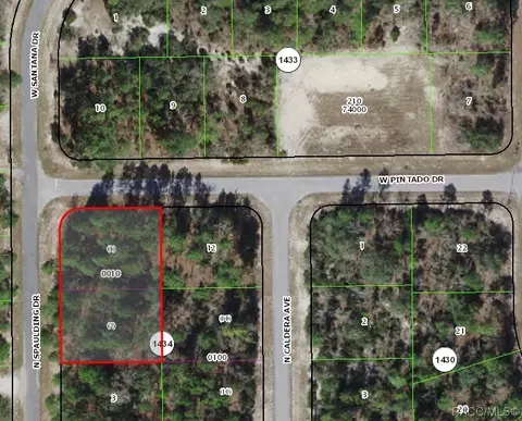 2950 W Pintado Dr, Citrus Springs, FL 34433