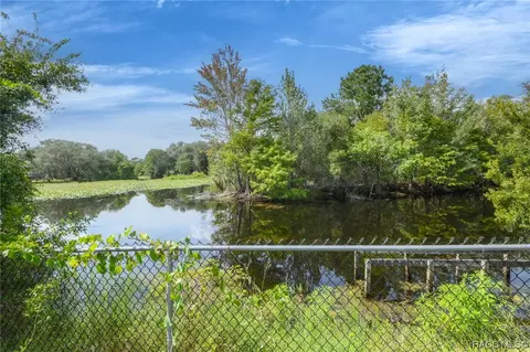 4057 E Gloria Dr, Hernando, FL 34442 photo 55
