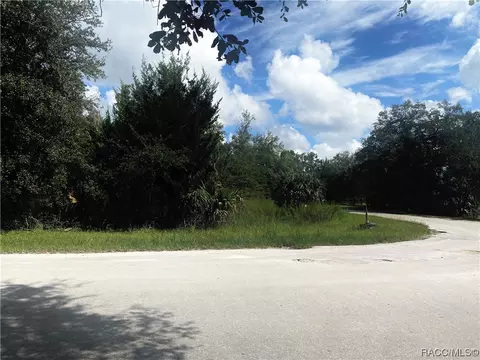 6786 N Gold Leaf Pt, Dunnellon, FL 34433