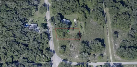 3767 E Delight St, Hernando, FL 34442 photo 3