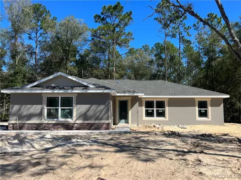 9535 N Aquarius Dr, Citrus Springs, FL 34434