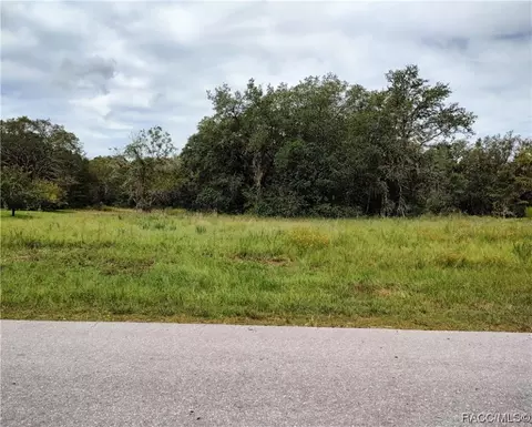 526 N Fresno Ave, Hernando, FL 34442