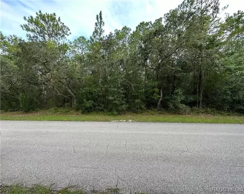 1216 W Tacoma St, Hernando, FL 34442