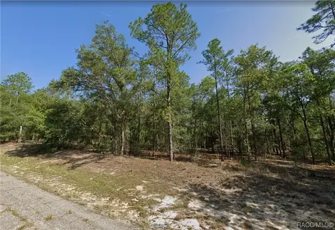 661 E Marquette Ln, Citrus Springs, FL 34434