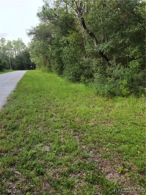 1603 W Oregon Ct, Hernando, FL 34442
