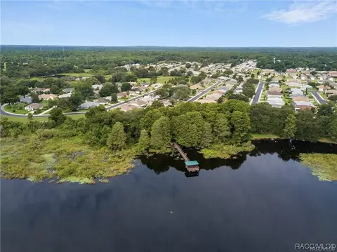 3695 Eagle Cove Ct, Hernando, FL 34442 photo 34