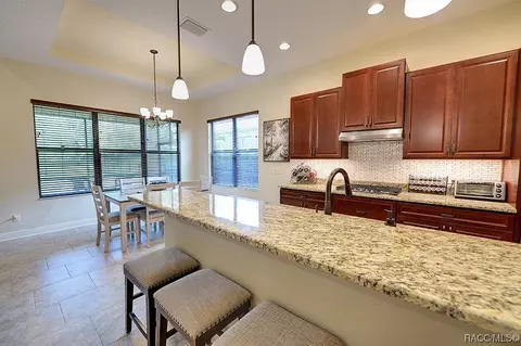 1771 W Laurel Glen Path, Hernando, FL 34442 photo 16