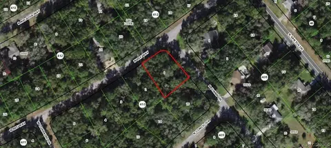 9030 N Joann Dr, Citrus Springs, FL 34434