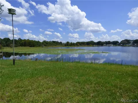 Tbd Diamond Circle, Hernando, FL 34442 photo 2