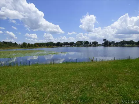 Tbd Diamond Circle, Hernando, FL 34442 photo 3