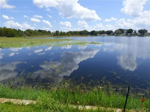 Tbd Diamond Circle, Hernando, FL 34442 photo 5