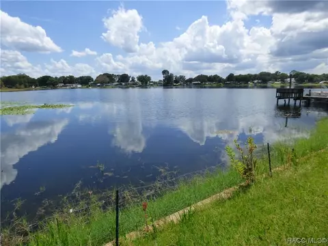 Tbd Diamond Circle, Hernando, FL 34442 photo 4