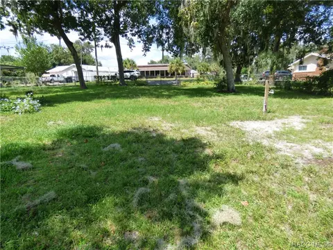 Tbd Diamond Circle, Hernando, FL 34442 photo 8
