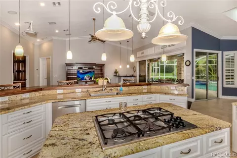 103 W Chase St, Hernando, FL 34442 photo 13