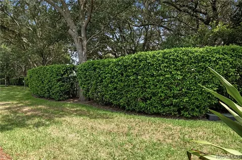 903 W Skyview Crossing Dr, Hernando, FL 34442 photo 33