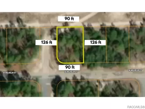 3785 W Wilhelm St, Citrus Springs, FL 34433