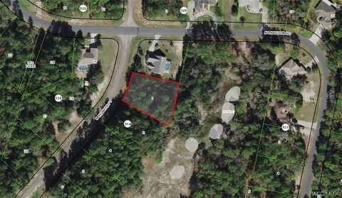 9965 N Pioneer Pt, Citrus Springs, FL 34434