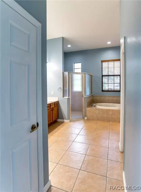 254 W Redsox Path, Hernando, FL 34442 photo 22
