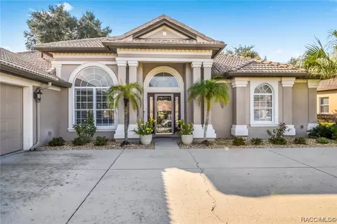 59 W Mickey Mantle Path, Hernando, FL 34442 photo 3