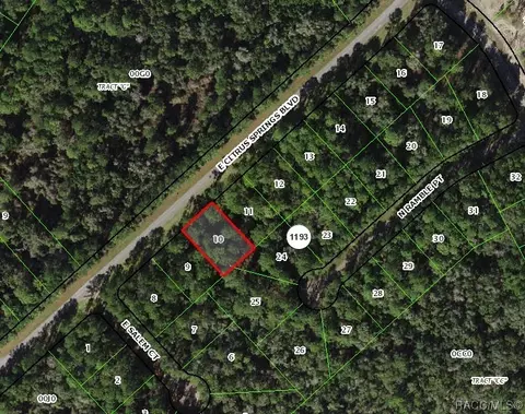 1136 E Citrus Springs Blvd, Citrus Springs, FL 34434