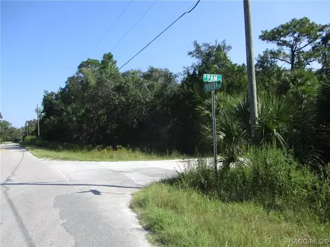 7855 W Pam Ct, Homosassa, FL 34448
