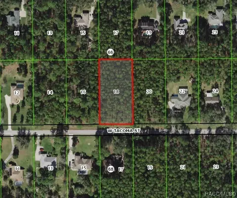 1241 W Tacoma St, Hernando, FL 34442 photo 2