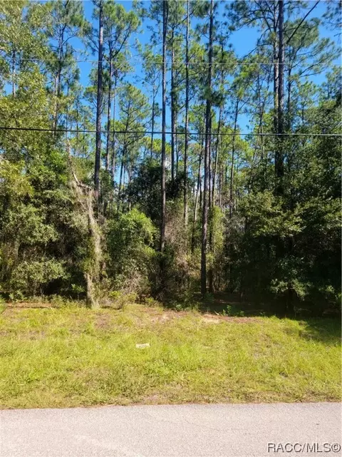1241 W Tacoma St, Hernando, FL 34442 photo 3