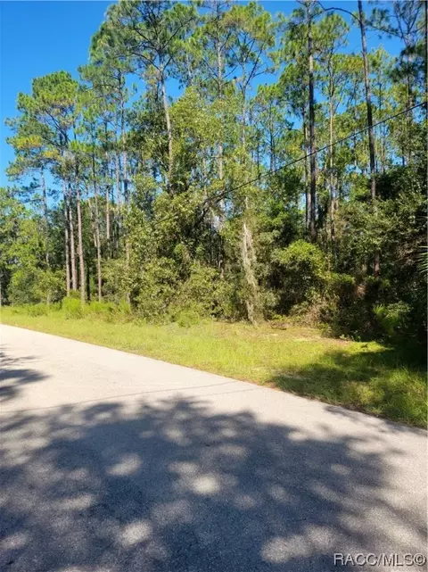 1241 W Tacoma St, Hernando, FL 34442