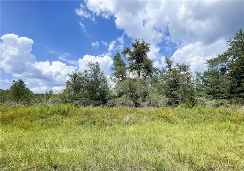 31 W Lynnhaven Pl, Citrus Springs, FL 34434
