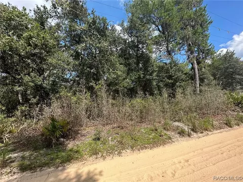 Tbd NE 213th Lane, Fort Mc Coy, FL 32134