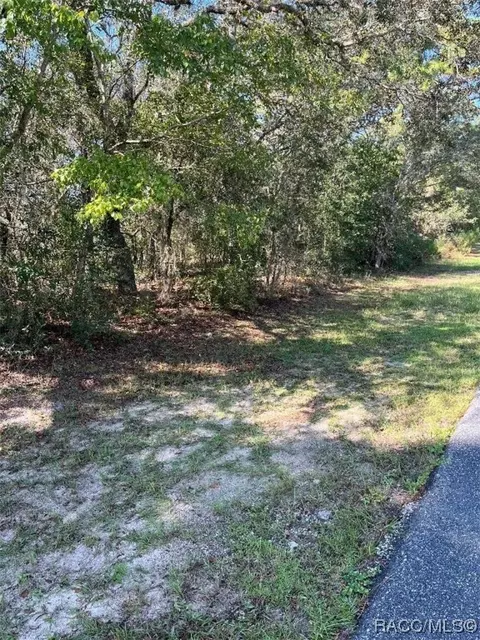920 W Ludlum St, Citrus Springs, FL 34434