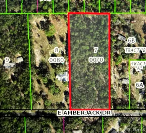 1561 E Amberjack Dr, Hernando, FL 34442