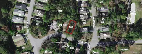 12 Biscayne St, Homosassa, FL 34446