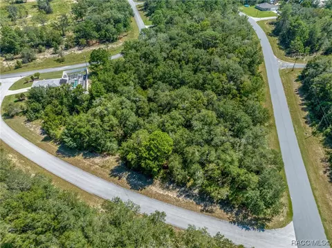 2088 W Chanron Pl, Citrus Springs, FL 34434