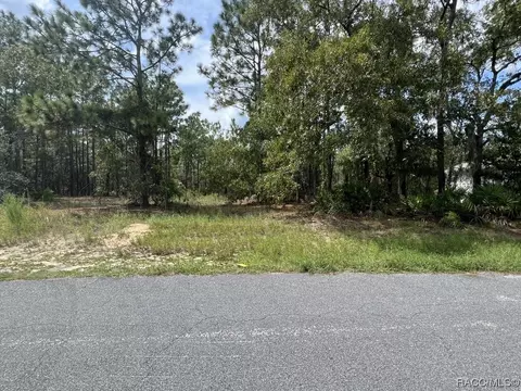 6 Cupania Ct, Homosassa, FL 34446