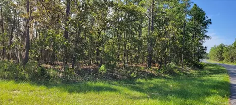8590 Cr243, Wildwood, FL 34785