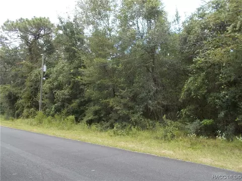 883 W Liberty St, Hernando, FL 34442 photo 1