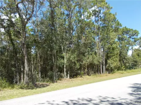 1833 W Pearson St, Hernando, FL 34442